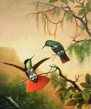 Heade - Two Hooded Visorbearer Hummingbirds at overstockArt.com Heade - Two Hooded Visorbearer Hummingbirds at overstockArt.com