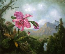 Heade - Orchid and Hummingbird Near a Mountain Waterfall at overstockArt.com