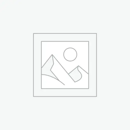 Chicago World's Fair - Moran at overstockArt.com